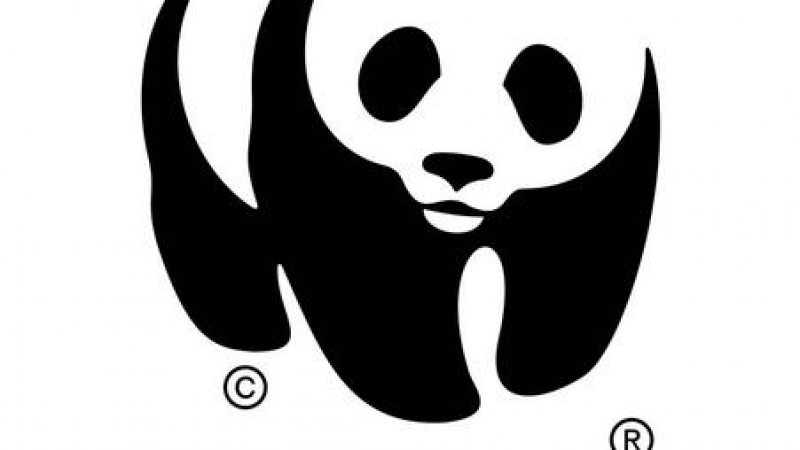 (0)WWF-LOGO.png