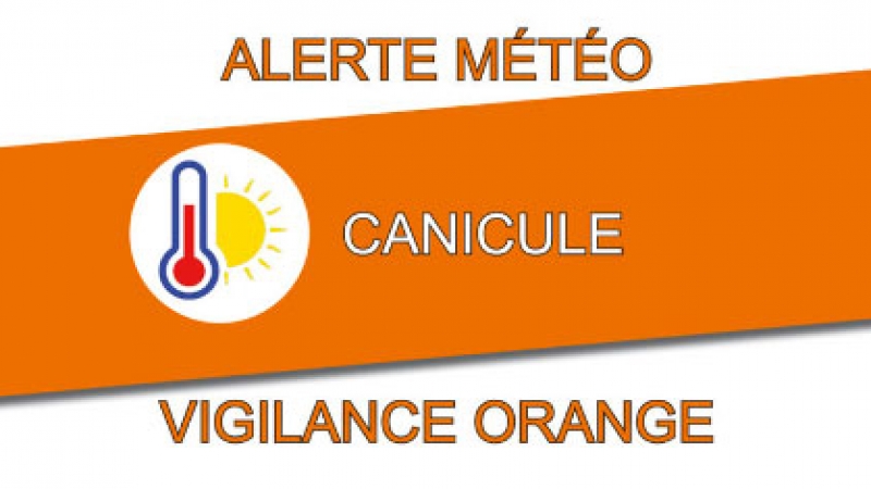 06-canicule2.jpg
