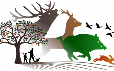Un dimanche à la chasse