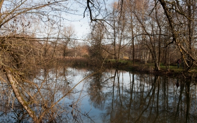 Fête du Marais de Saône